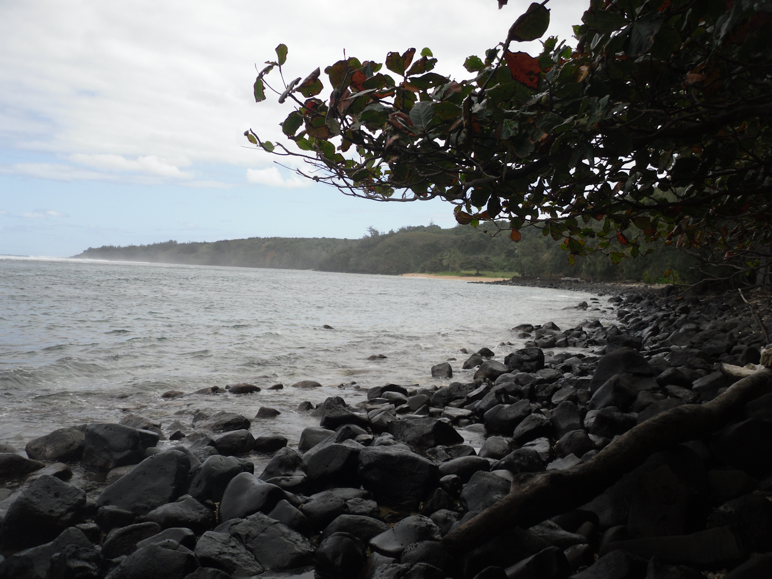 From trail to Pila'a beach